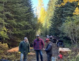 387463567 233790636340337 n