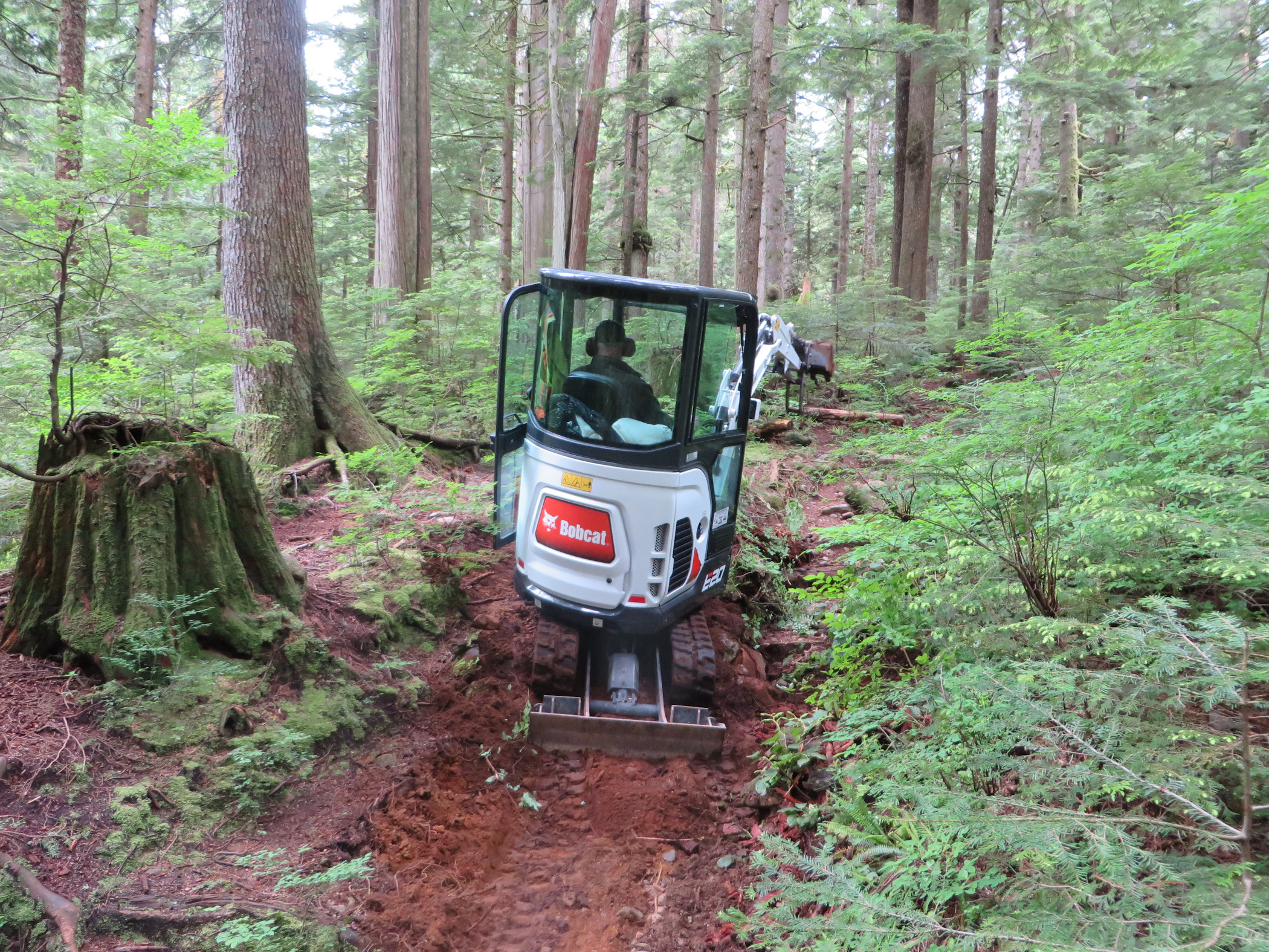 Baden Powell Trail